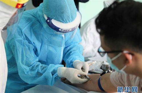 越南肺炎最新爆料,疫情动态与防控措施全解析