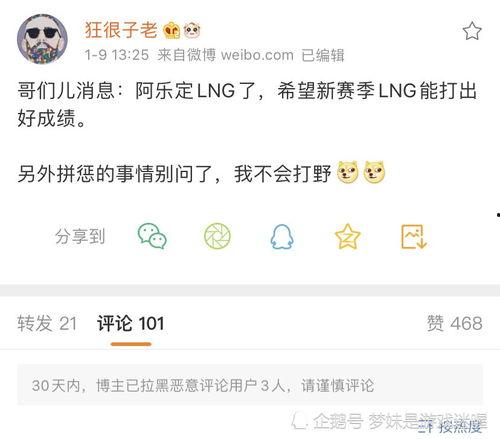 最新爆料阿乐是谁啊,阿乐是谁？最新爆料引发热议