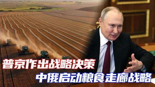 中俄最新爆料消息,揭秘两国合作背后的关键进展与影响